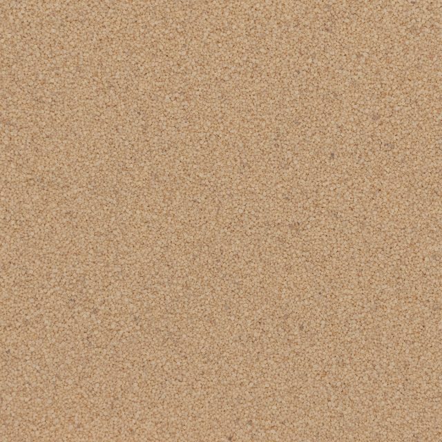 Torginol® | Beige